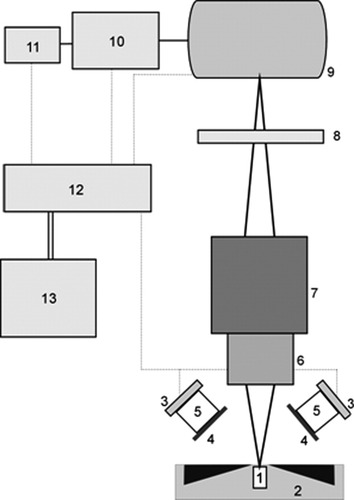 Details are in the caption following the image Details are in the caption following the image