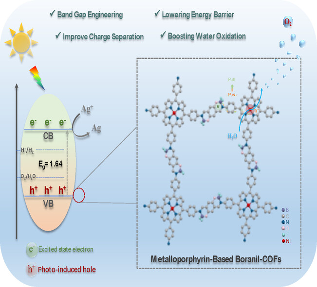 Coupling Electron Transfer and Redox Site in Boranil Covalent Organic Framework Toward Boosting Photocatalytic Water Oxidation