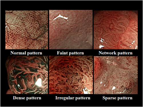 Details are in the caption following the image Details are in the caption following the image