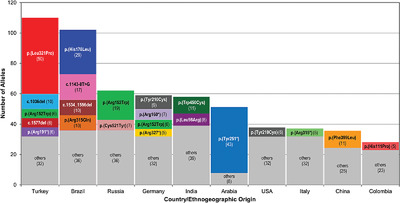 Mucopolysaccharidosis type VI (MPS VI) and molecular analysis: Review and classification of published variants in the ARSB gene