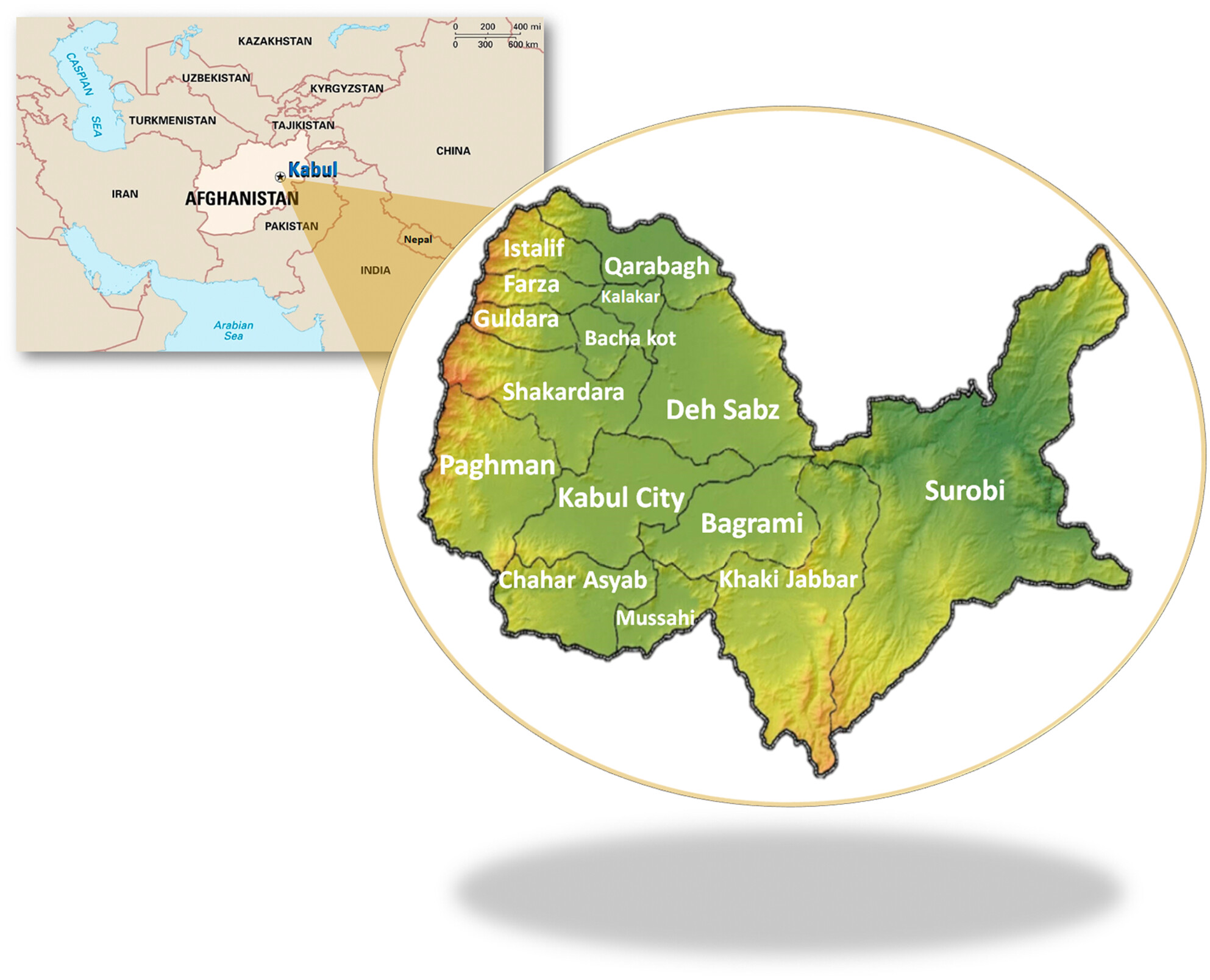 Cancer Incidence in Kabul, Afghanistan: The First Report From the Population-Based Cancer Registry