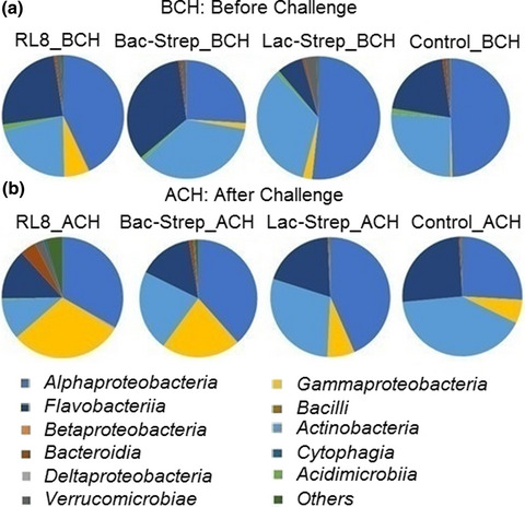 Effect of Streptomyces probiotics on the gut microbiota of Litopenaeus vannamei challenged with Vibrio parahaemolyticus