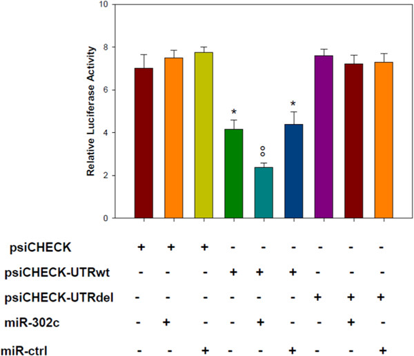 MiR302c, Sp1, and NFATc2 regulate interleukin-21 expression in human CD4+CD45RO+ T lymphocytes