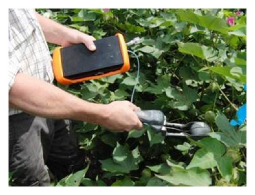 Details are in the caption following the image Details are in the caption following the image