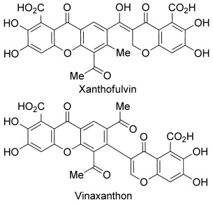 Syntheses of Xanthofulvin and Vinaxanthone, Natural Products Enabling Spinal Cord Regeneration