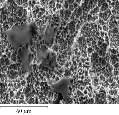 Details are in the caption following the image
