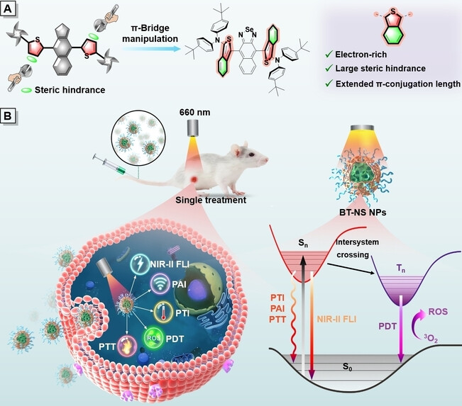 Thiophene π-Bridge Manipulation of NIR-II AIEgens for Multimodal Tumor Phototheranostics