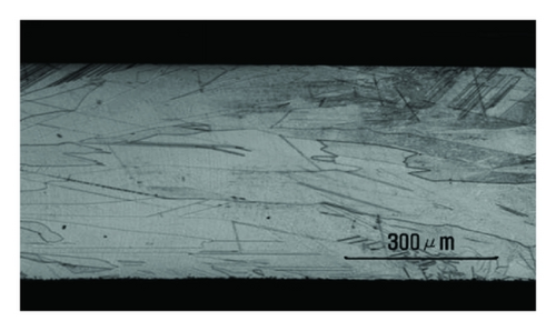 Details are in the caption following the image