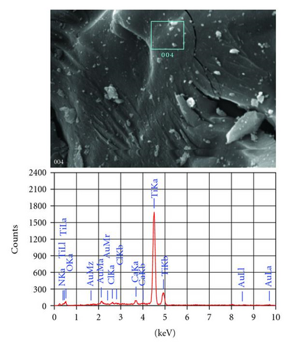 Details are in the caption following the image