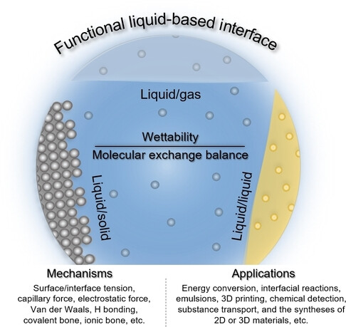 Building Functional Liquid-Based Interfaces: From Mechanism to Application