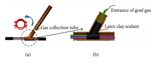 Details are in the caption following the image Details are in the caption following the image