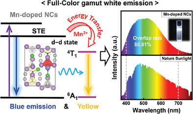 Full-Color Gamut White Light Emission From Mn-doped Cs3Cu2X5 Nanocrystals via Lattice Engineering