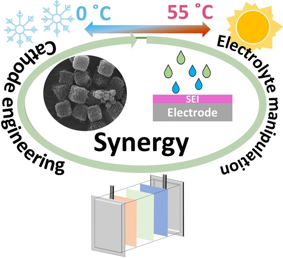 Pushing Lithium–Sulfur Batteries towards Practical Working Conditions through a Cathode–Electrolyte Synergy