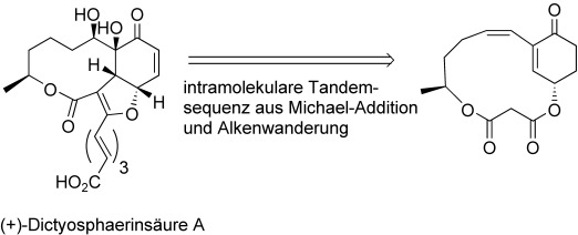 Total Synthesis and Structural Reassignment of (+)-Dictyosphaeric Acid A: A Tandem Intramolecular Michael Addition/Alkene Migration Approach