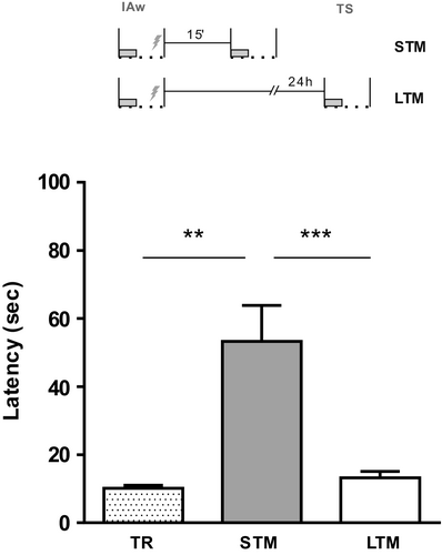 Details are in the caption following the image Details are in the caption following the image