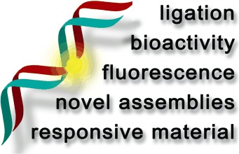 Reactions Templated by Nucleic Acids: More Ways to Translate Oligonucleotide-Based Instructions into Emerging Function