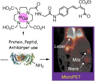 A Submicrogram-Scale Protocol for Biomolecule-Based PET Imaging by Rapid 6π-Azaelectrocyclization: Visualization of Sialic Acid Dependent Circulatory Residence of Glycoproteins