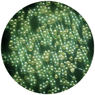 A Combinatorial Approach to Catalytic Peptide Dendrimers
