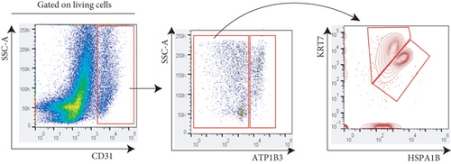 Details are in the caption following the image Details are in the caption following the image