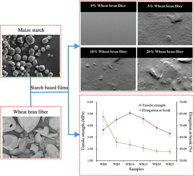 Effect of Wheat Bran Fiber on the Behaviors of Maize Starch Based Films