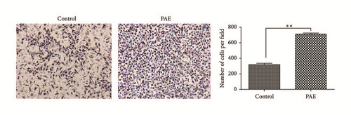 Details are in the caption following the image