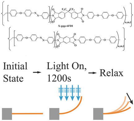 Relaxation Dynamics and Strain Persistency of Azobenzene-Functionalized Polymers and Actuators
