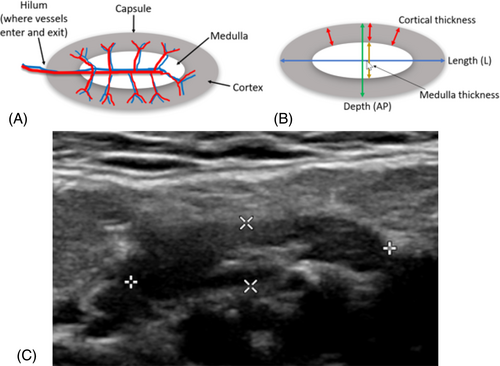 Details are in the caption following the image Details are in the caption following the image