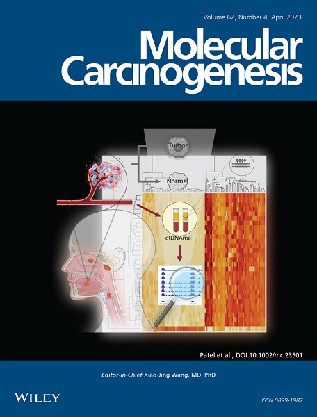 Cover Image, Volume 62, Issue 4 Volume 62 Issue 4, 2023