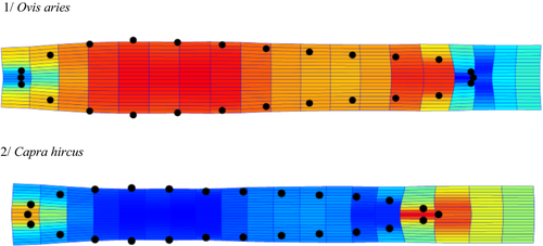 Details are in the caption following the image