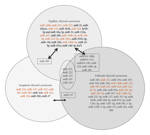 Details are in the caption following the image