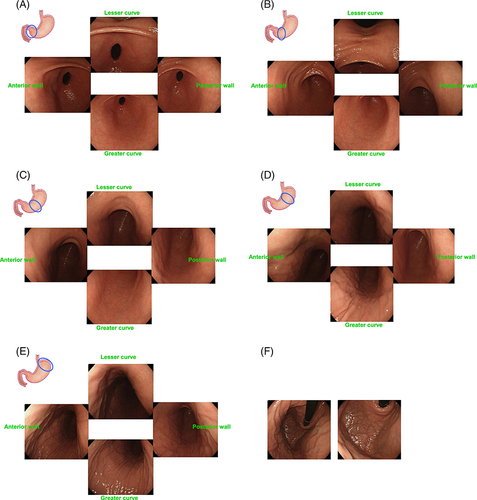 Details are in the caption following the image Details are in the caption following the image