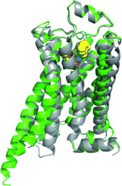 A Brief History of G-Protein Coupled Receptors (Nobel Lecture)
