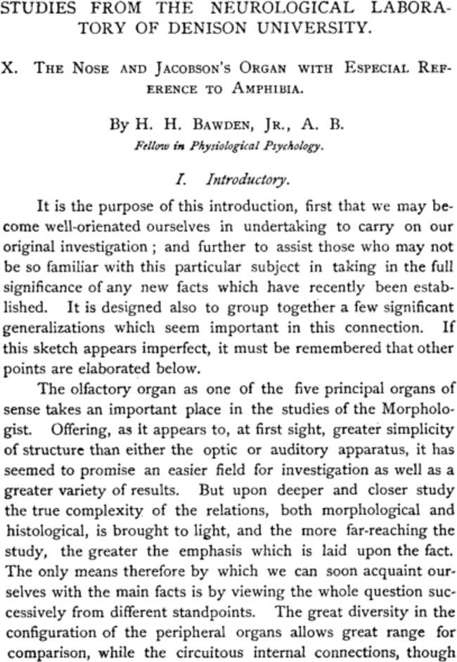 First page image