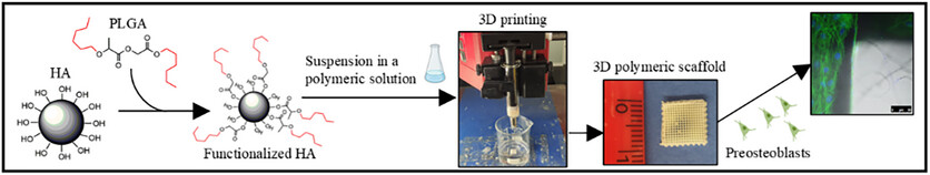 Functionalized Hydroxyapatite Loading Enhances the Mechanical and Biodegradation Properties of Wet-Spun Poly(Lactide-co-Glycolide) Scaffolds by Additive Manufacturing