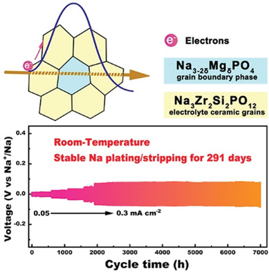 Grain Boundary Design of Solid Electrolyte Actualizing Stable All-Solid-State Sodium Batteries