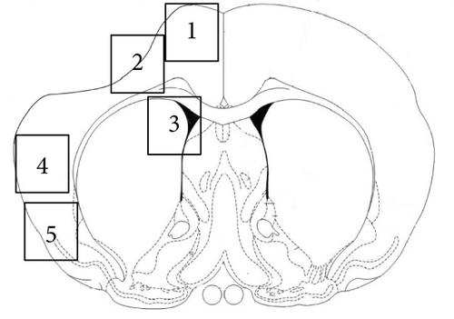 Details are in the caption following the image Details are in the caption following the image