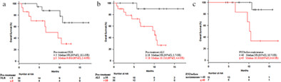 Predictors of survival among Japanese patients receiving first-line chemoimmunotherapy for advanced non-small cell lung cancer