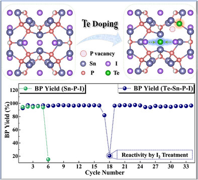 Reusable Te-Doped Sn-P-I Catalysts With Anti-Healing P Vacancies and Stable I Sites for Efficient Black Phosphorus Growth