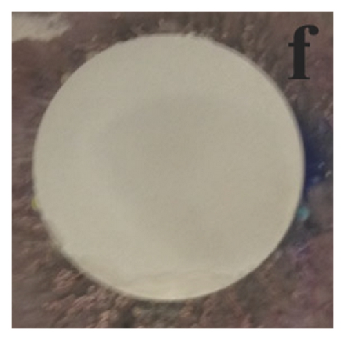 Details are in the caption following the image Details are in the caption following the image