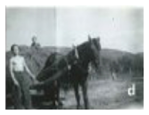 Details are in the caption following the image