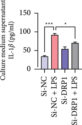 Details are in the caption following the image