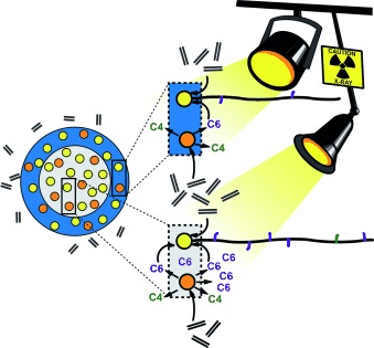 Polyethylene with Reverse Co-monomer Incorporation: From an Industrial Serendipitous Discovery to Fundamental Understanding