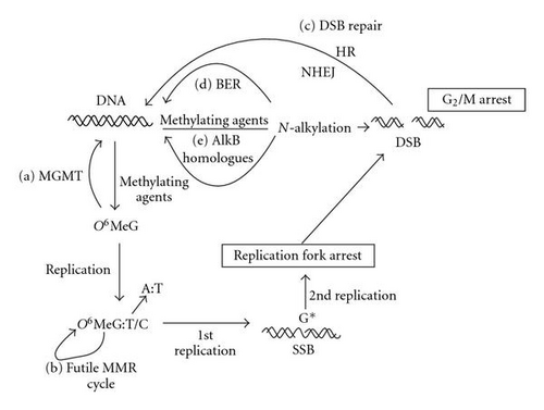 Details are in the caption following the image