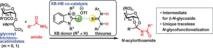 Direct N-Glycofunctionalization of Amides with Glycosyl Trichloroacetimidate by Thiourea/Halogen Bond Donor Co-Catalysis