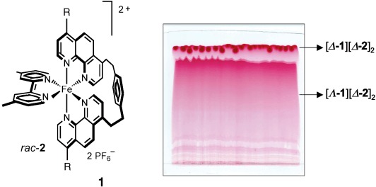 Ion-Pair-Mediated Asymmetric Synthesis of a Configurationally Stable Mononuclear Tris(diimine)–Iron(II) Complex