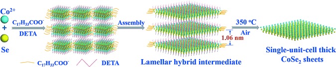 Metallic Single-Unit-Cell Orthorhombic Cobalt Diselenide Atomic Layers: Robust Water-Electrolysis Catalysts