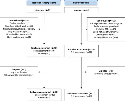 Cognitive changes and brain connectomes, endocrine status, and risk genotypes in testicular cancer patients–A prospective controlled study