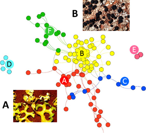 The influence of climatic legacies on the distribution of dryland biocrust communities