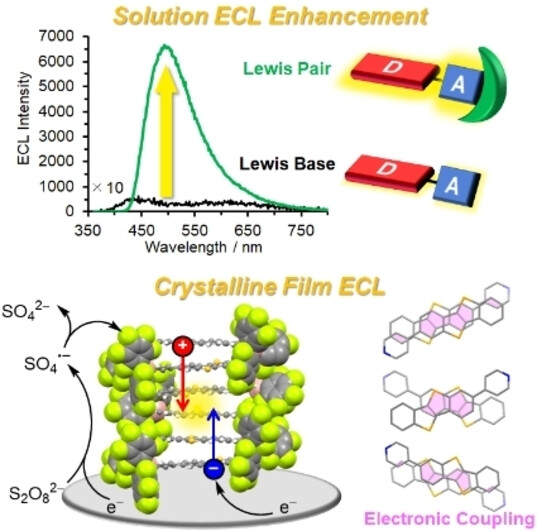 Lewis-Pairing-Induced Electrochemiluminescence Enhancement from Electron Donor-Acceptor Diads Decorated with Tris(pentafluorophenyl)borane as an Electrochemical Protector