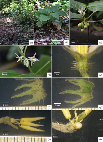 Details are in the caption following the image Details are in the caption following the image